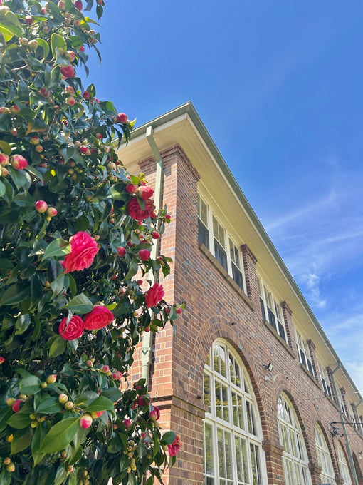 The Hermitage Newsletter: September '25 Issue