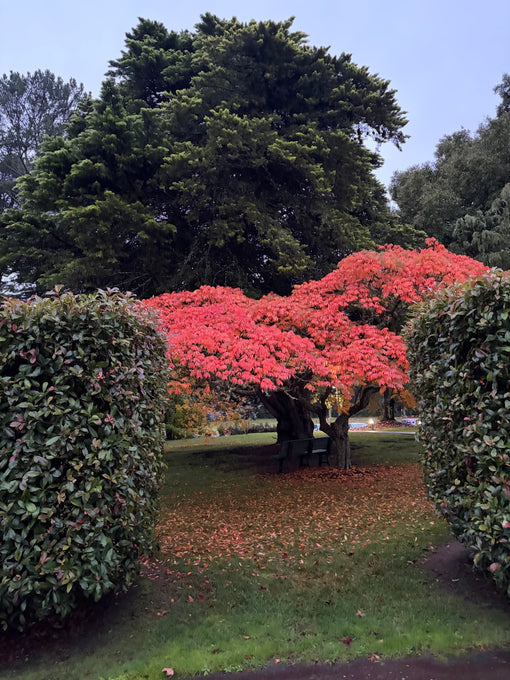 The Heritage Newsletter: May '26 Issue