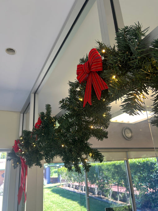 The Hermitage Newsletter: Advent '25 Issue