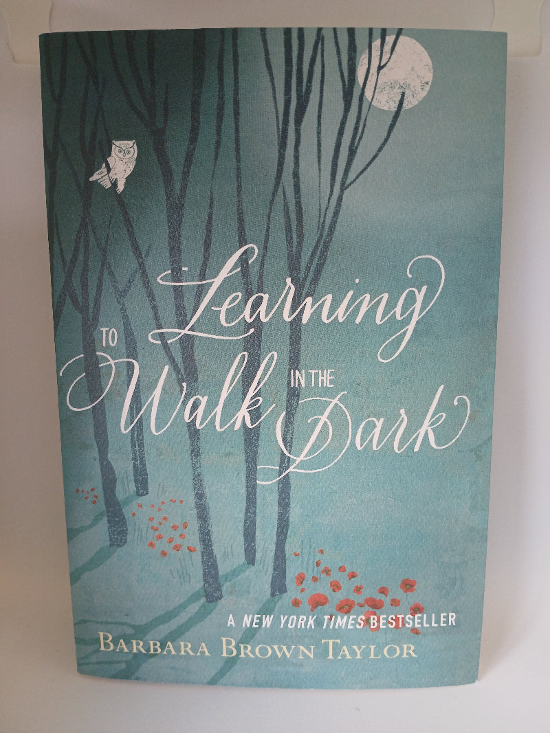 Learning to Walk in the Dark